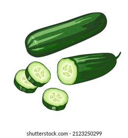 Cucumber. Beautiful green vegetables and cucumber pieces.  Ecoproduct, farm vegetables, healthy food.Icon, clipart for website about selling vegetables, healthy food, salads. Vector flat illustration.