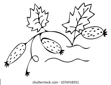 Cucumber black line vector icon. Isolated vegetable cucumber for menu, card, label, logo. Simple vegetarian food sign