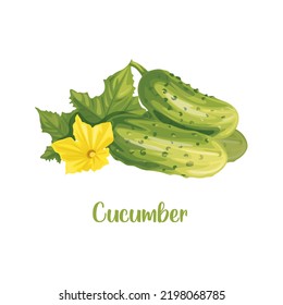 Cucumber. Cartoon vector icon isolated on white background. Series of food and drink and ingredients for cooking