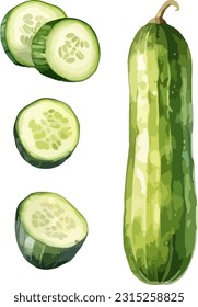 Cucumber clipart, ilustración vectorial aislada.