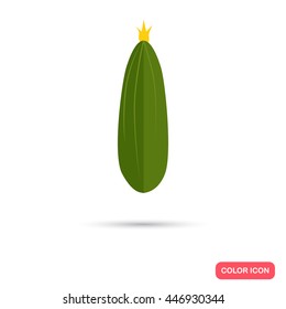 Cucumber color flat icon