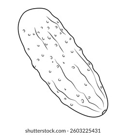 Cucumber in contour, in the style of line art. A healthy vegetarian dish. Illustrations for packaging, labels, menus, signage.  Ingredients for vegetable salad.