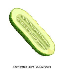 cucumber cut cartoon. slice vegetable, organic sliced, vegetarian, fresh green, food piece, ingredient healthy, part cucumber cut vector illustration