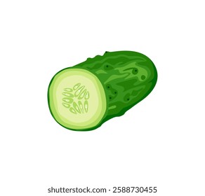 Cucumber cut in half isolated on white background.  Vector cartoon flat illustration of fresh vegetable