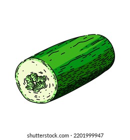 cucumber cut hand drawn vector. green slice, vegetable food, ingredient salad, organic, healthy fresh, raw plant, diet cucumber cut sketch. isolated color illustration