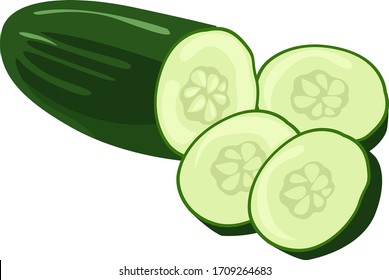 Cucumber cut in slices, illustration, vector on white background