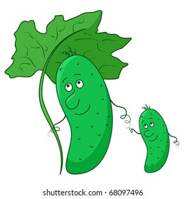 Cucumber family, baby and parent with green leave