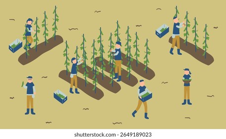 cucumber, farmer, farm, agriculture, vegetables