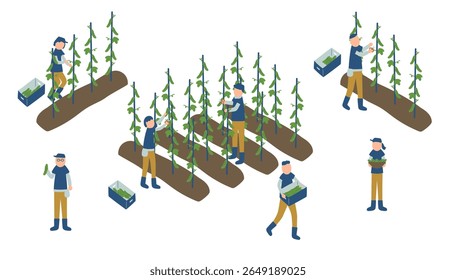 cucumber, farmer, farm, agriculture, vegetables