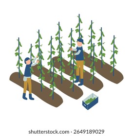 cucumber, farmer, farm, agriculture, vegetables