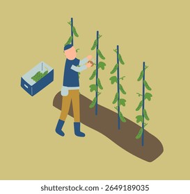 cucumber, farmer, farm, agriculture, vegetables