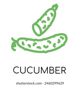 Cucumber fat line vegetable icon, vector illustration