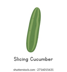 Ilustração de vetor de desenhos animados plano de pepino isolada sobre fundo branco