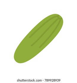 Cucumber flat icon