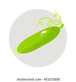 Cucumber flat icon, vegetable harvest vector illustration