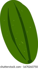 Cucumber flat, illustration, vector on white background.