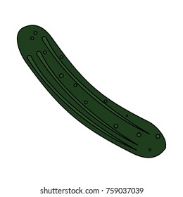 Cucumber fresh vegetable