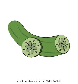 Cucumber fresh vegetable