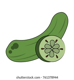 Cucumber fresh vegetable