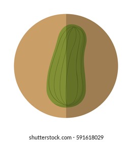 cucumber fresh vegetable icon