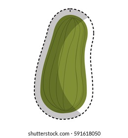 cucumber fresh vegetable icon