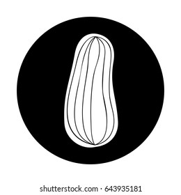 cucumber fresh vegetable icon