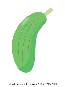 cucumber fresh vegetable nature icon vector illustration design