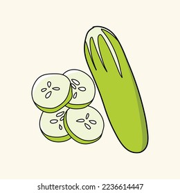 cucumber fruit vector illustration vegetable