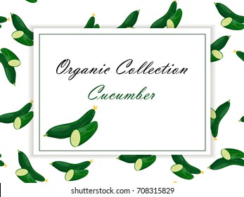 cucumber from the garden. Organic food. Vector illustration. symbol for sauce product label or grocery store, shop and farm market design. Vector square label. Organic collection