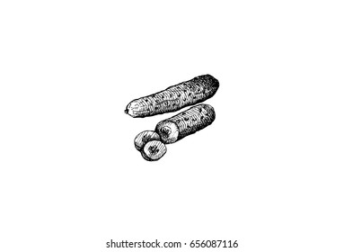 Cucumber, graphic hand drawn illustration isolated on white background