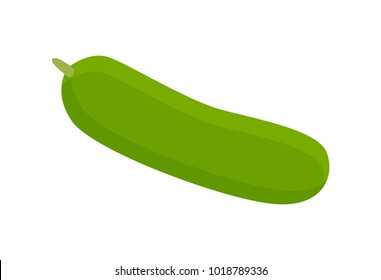 Cucumber of green color, supermarket product, natural and tasty plant, healthy food for people, vector illustration isolated on white background
