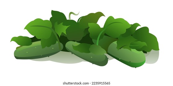 Cucumber grows ripe. Summer rural landscape. Garden with vegetables. Thickets of herbs. Cartoon fun style. Flat design. Isolated on white background. Vector