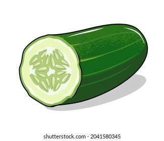 Cucumber Half Slice Illustration isolated  vector