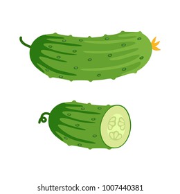Cucumber and half of cucumber. Vector illustration. Flat style isolated on white background
