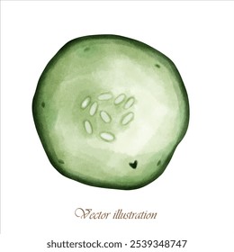 cucumber hand draw watercolor vector illustrstion