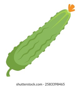 "Cucumber Hand Drawn Illustration on White Background