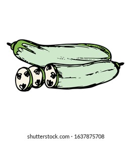 Cucumber hand drawn illustration vector on trendy design 