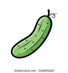 Cucumber. Hand drawn sketch icons of vegetable in color. Isolated vector illustration in doodle line style.