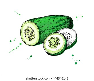 Featured image of post How To Draw Cucumber Slices Monuments and sculptures of this vegetable are in many cities