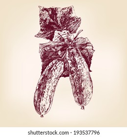 cucumber hand drawn vector llustration realistic sketch