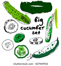 Cucumber hand drawn vector set. Isolated cucumber, sliced pieces and plant. Vegetable engraved style illustration. Detailed vegetarian food drawing. Farm market product.