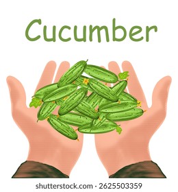 cucumber in hands, Halftone illustration of hands tenderly holding olives, black and white dotted texture, retro pop art style design isolated on white background, summer fruits concept. Vector