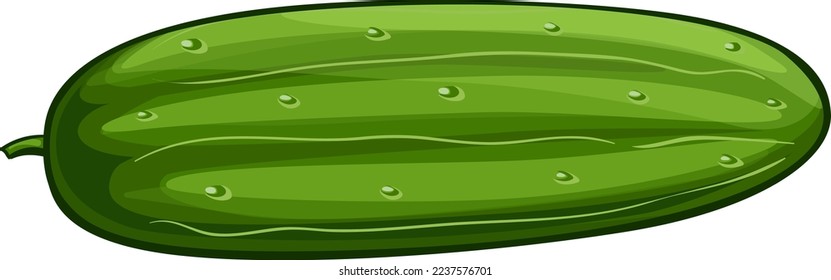 Cucumber High Resolution Vector Illustration.