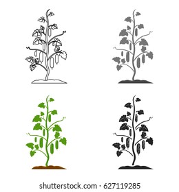 Cucumber icon cartoon. Single plant icon from the big farm, garden, agriculture cartoon.