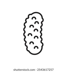 Cucumber icon Flat line illustration