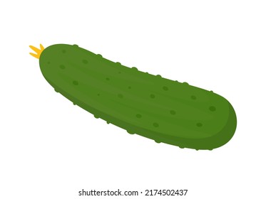 Icono de pepino. Pepino verde fresco. Ilustración vectorial aislada sobre fondo blanco.