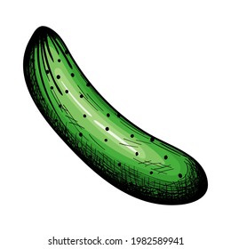 Cucumber Icon. Hand Drawn Sketch Design. Vector Illustration.