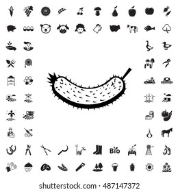 Cucumber icon illustration isolated vector sign symbol
