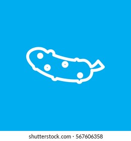 cucumber icon illustration isolated vector sign symbol