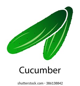 Cucumber icon on white background. Vector illustration.
